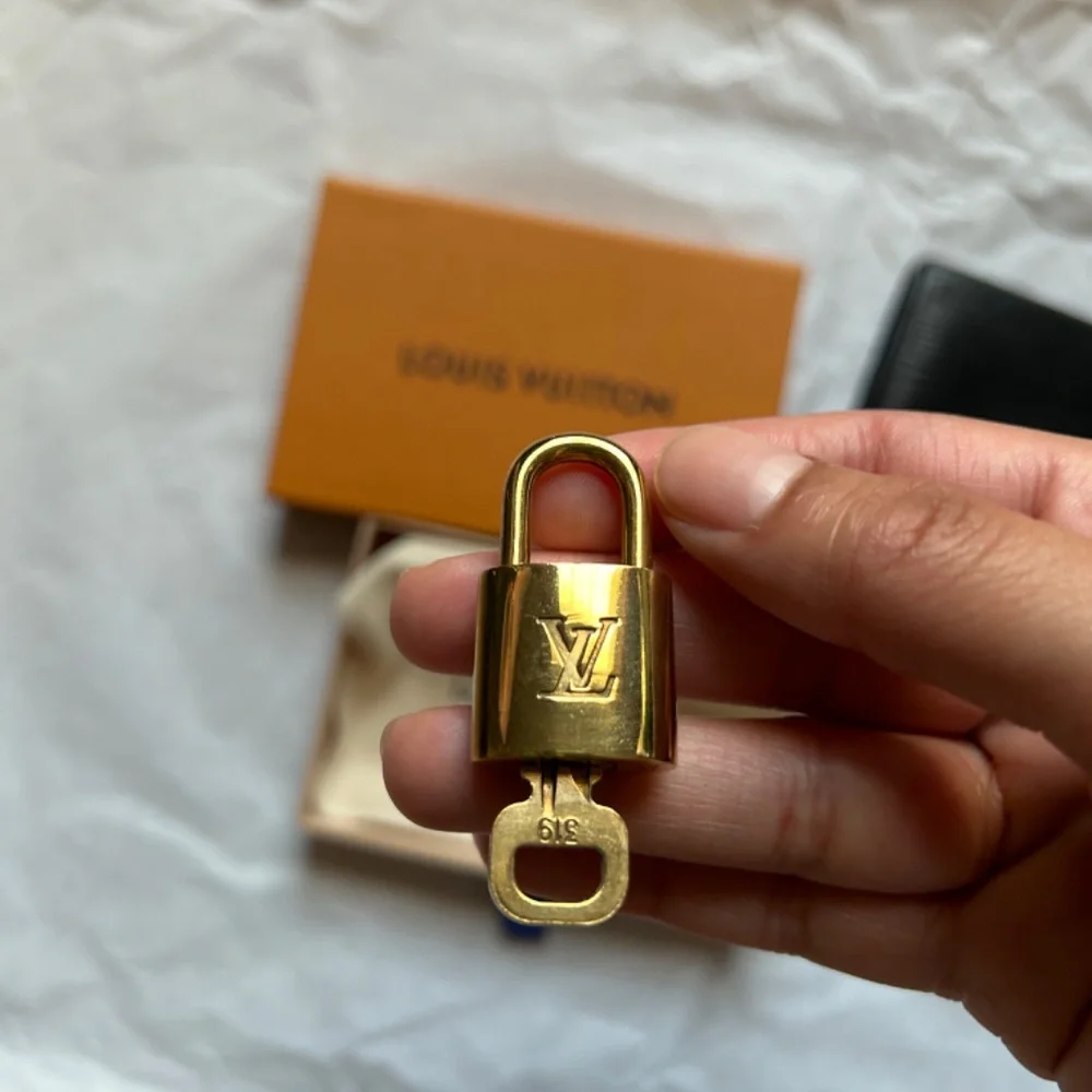 Louis Vuitton black epi